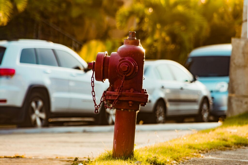 Red fire hydrant on a Santo Domingo street with parked cars.
